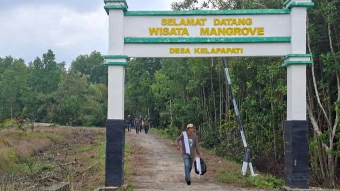 Tentang Kawasan Mangrove Kelapapati Laut
